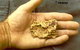 Three Creeks Tourist Gold Mine - thumb 0