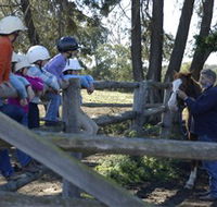 Harlow Park Horse Riding - Nambucca Heads Accommodation