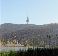 Black Mountain Peninsula - Nambucca Heads Accommodation