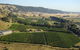 Lerida Estate Winery And Restaurant - thumb 0