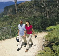 Blue Mountains Walking Tracks - Nambucca Heads Accommodation