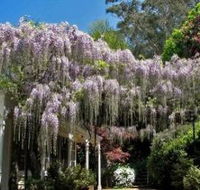 Nooroo Gardens - Nambucca Heads Accommodation