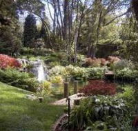 Windyridge Garden Mount Wilson - Nambucca Heads Accommodation