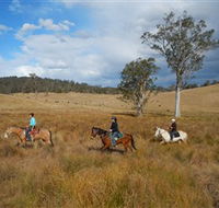 Chapman Valley Horse Riding - Nambucca Heads Accommodation