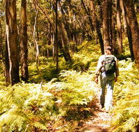 Federal Pass - Nambucca Heads Accommodation