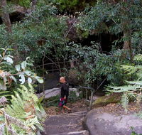 Leura Cascades Fern Bower - Nambucca Heads Accommodation