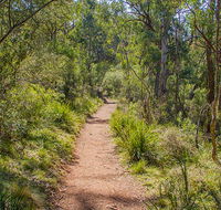 Mares Forest Creek walking track - Nambucca Heads Accommodation