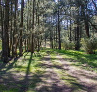 Wombeyan Waterfall walking track - Nambucca Heads Accommodation