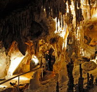 Wollondilly Cave - Nambucca Heads Accommodation