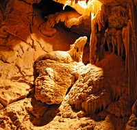 Fig Tree Cave - Nambucca Heads Accommodation