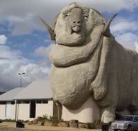 Big Merino - Nambucca Heads Accommodation