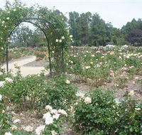 Victoria Park Rose Garden - Nambucca Heads Accommodation