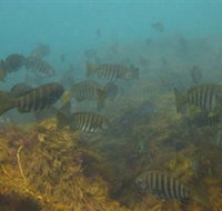 Bunurong Marine and Coastal Park