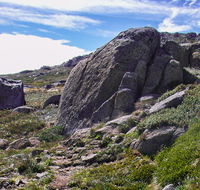 Mount Stillwell walk - Nambucca Heads Accommodation