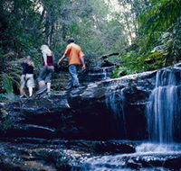 South Lawson Waterfall Circuit - Nambucca Heads Accommodation