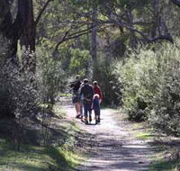 Syd's Rapids and Aboriginal Heritage Trail Avon Valley - Nambucca Heads Accommodation
