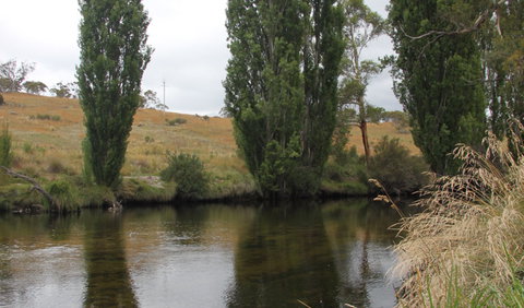 Thredbo River Picnic Area - Nambucca Heads Accommodation 3
