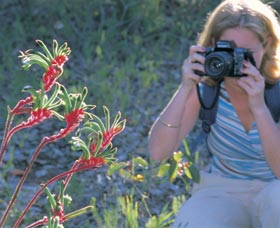 Kalamunda National Park - Nambucca Heads Accommodation 1