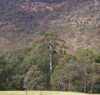 Bangadilly National Park - Nambucca Heads Accommodation