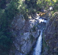 Lyrebird Falls walking track - Nambucca Heads Accommodation