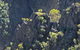 Bungonia National Park - thumb 2