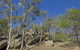 Bungonia National Park - thumb 3