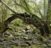 Mitchell River National Park - Nambucca Heads Accommodation