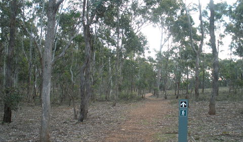 Green Track - Nambucca Heads Accommodation 0