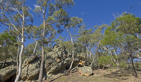 Green Track - Nambucca Heads Accommodation 2