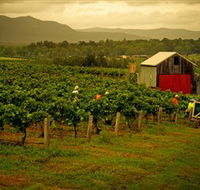 Around Hermitage Wine and Food Trail Hunter Valley - Nambucca Heads Accommodation