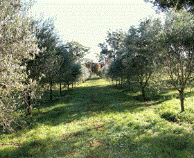 Langdale Farm - Nambucca Heads Accommodation