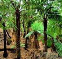 Pegarah Private Nature Reserve  Parenna Place - Nambucca Heads Accommodation