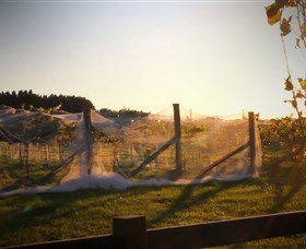 Bendooley Estate Book Barn - Nambucca Heads Accommodation 2
