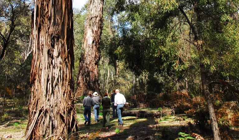 Capital Country NSW Nambucca Heads Accommodation
