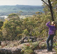 Gibbergunyah Reserve - Nambucca Heads Accommodation