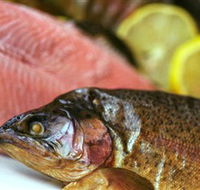 Lovedale Smokehouse Gourmet Pantry Cafe and Masterclasses - Nambucca Heads Accommodation