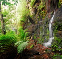 Fairy Bower Falls - Nambucca Heads Accommodation