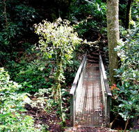 Richmond Range National Park - Nambucca Heads Accommodation