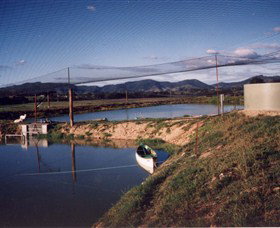 Trudgalong Farm - Nambucca Heads Accommodation 1