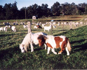 Trudgalong Farm - Nambucca Heads Accommodation 0