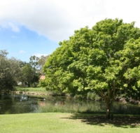 Hervey Bay Botanic Gardens - Nambucca Heads Accommodation