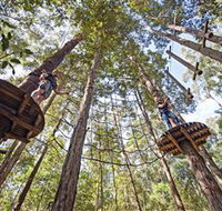 TreeTop Adventure Park Central Coast - Nambucca Heads Accommodation