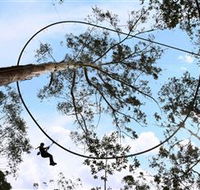 TreeTops Crazy Rider - Nambucca Heads Accommodation