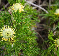 Illawarra lookout walking track - Nambucca Heads Accommodation