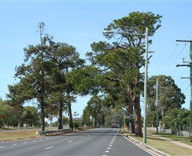 Anzac Memorial Avenue, Redcliffe - Nambucca Heads Accommodation 2