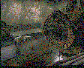 Australian Museum - Nambucca Heads Accommodation 3