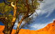 The Artery Aboriginal Art - thumb 2