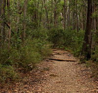 Pigeon House Mountain Didthul walking track - Nambucca Heads Accommodation