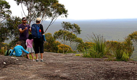 Pigeon House Mountain Didthul Walking Track - Nambucca Heads Accommodation 2