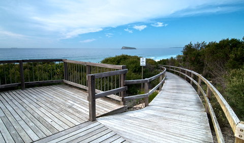 Tea Tree Picnic Area And Lookout - Nambucca Heads Accommodation 0